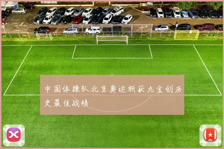 中国体操队北京奥运斩获九金创历史最佳战绩