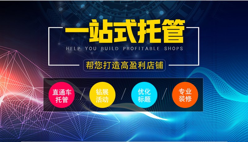 站群程序销售动态:探索互联网营销新趋势